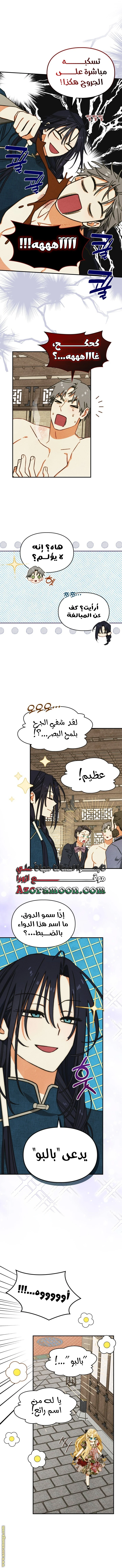 الصفحة 8