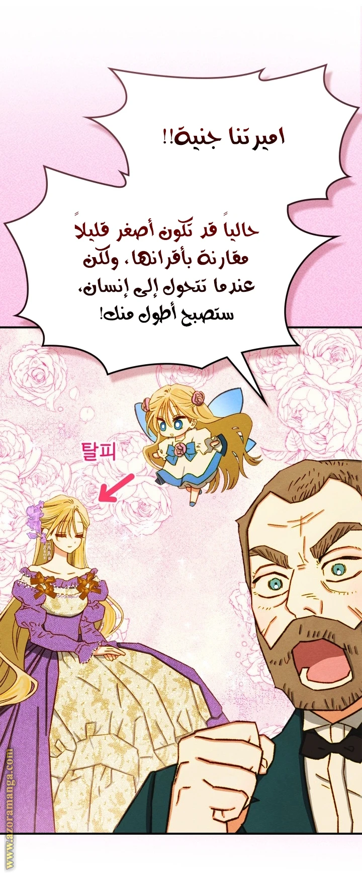 الصفحة 51