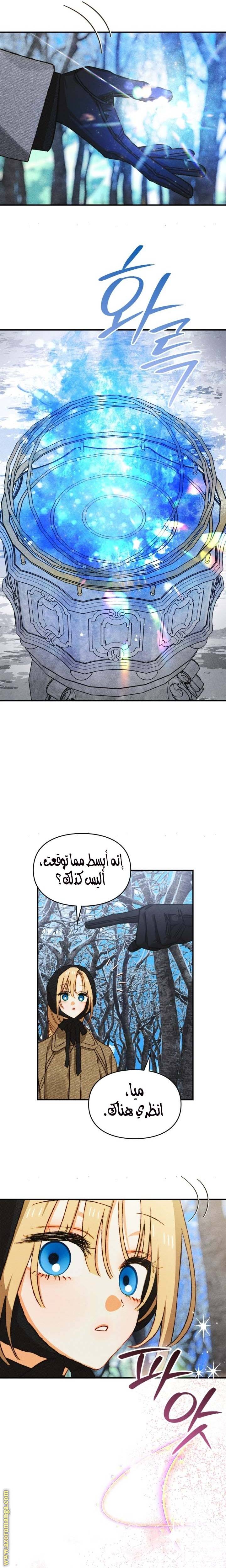 الصفحة 13