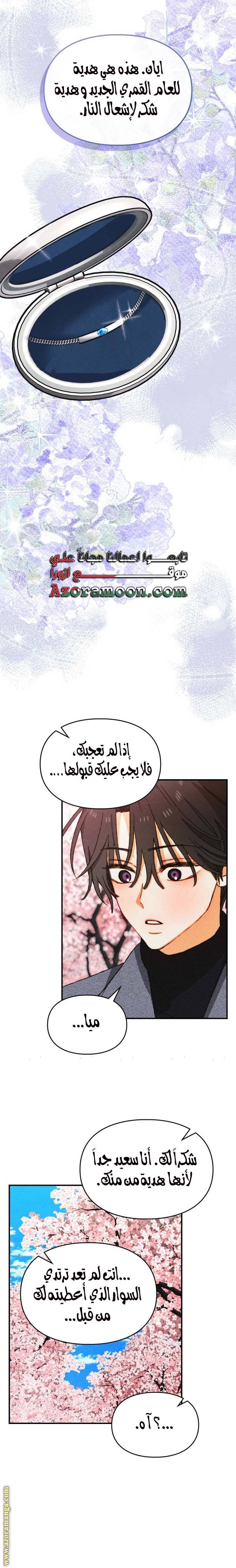 الصفحة 17