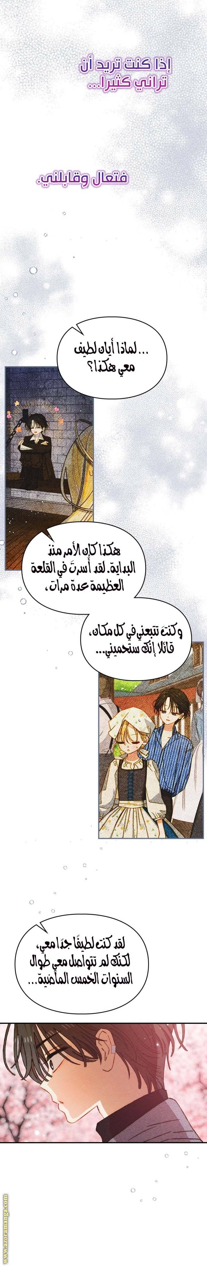الصفحة 19