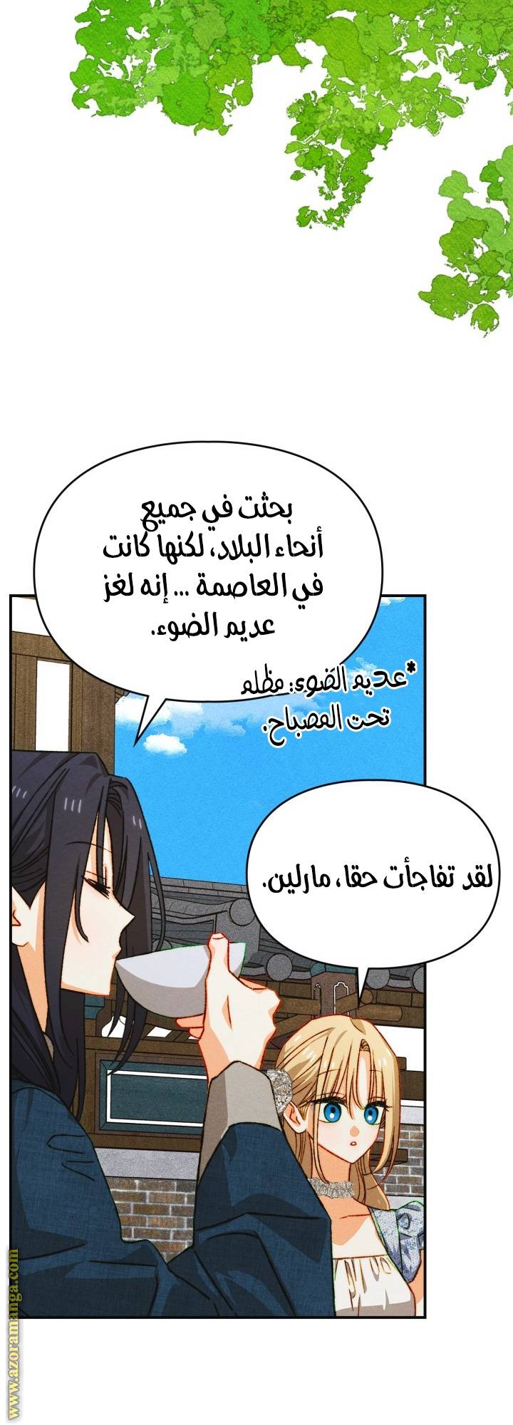 الصفحة 25