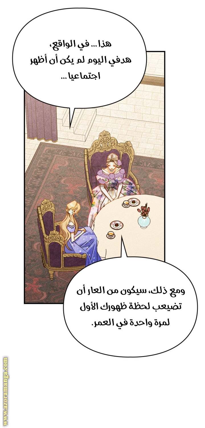الصفحة 17
