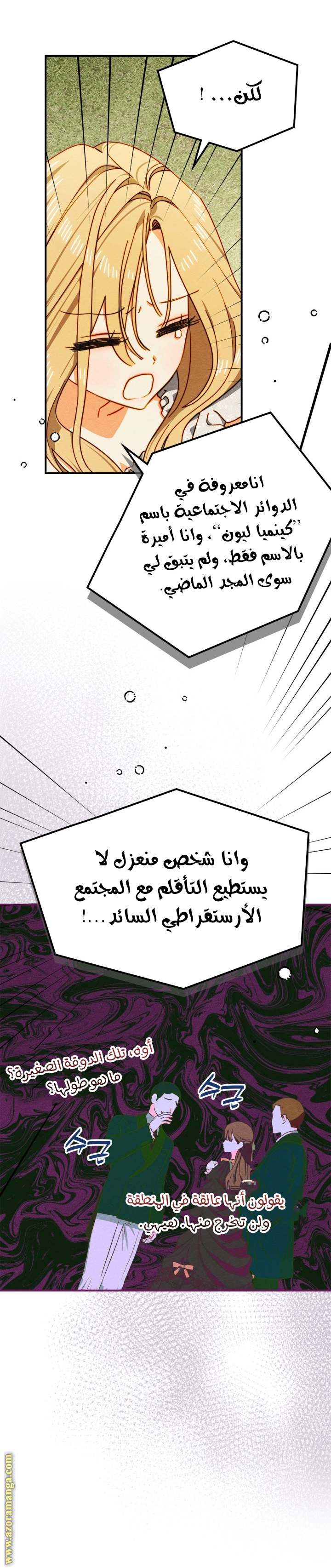 الصفحة 13