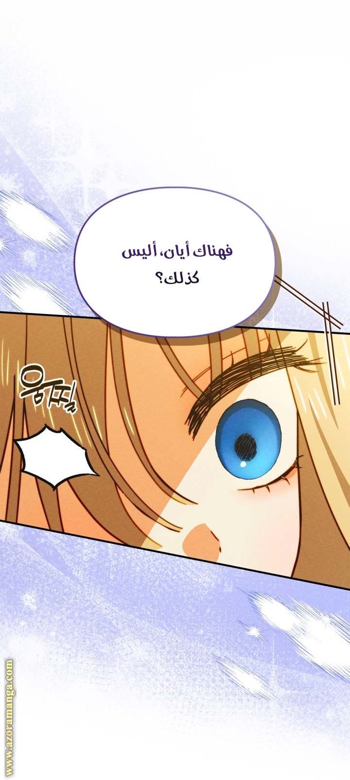 الصفحة 41
