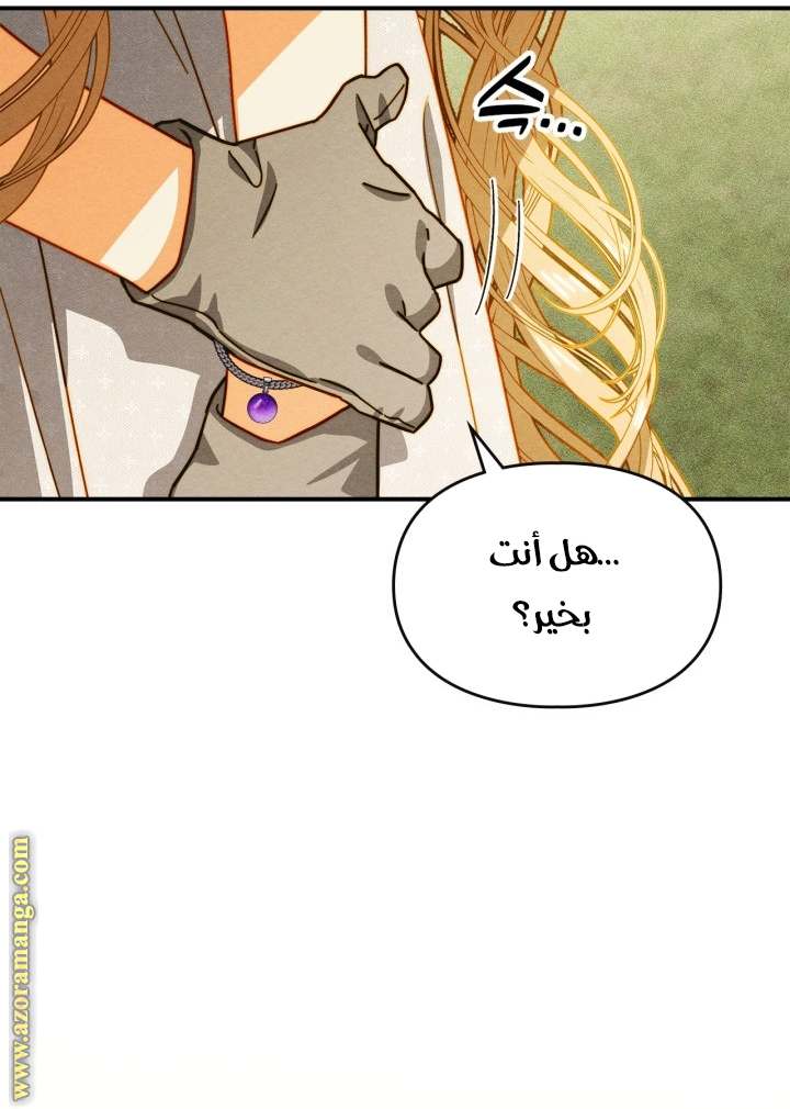الصفحة 45
