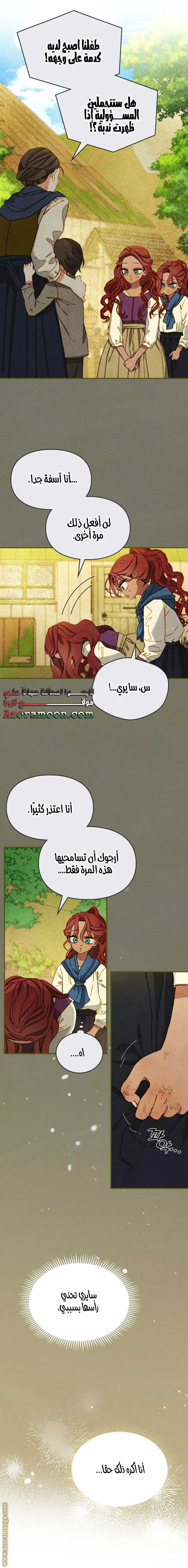 الصفحة 17