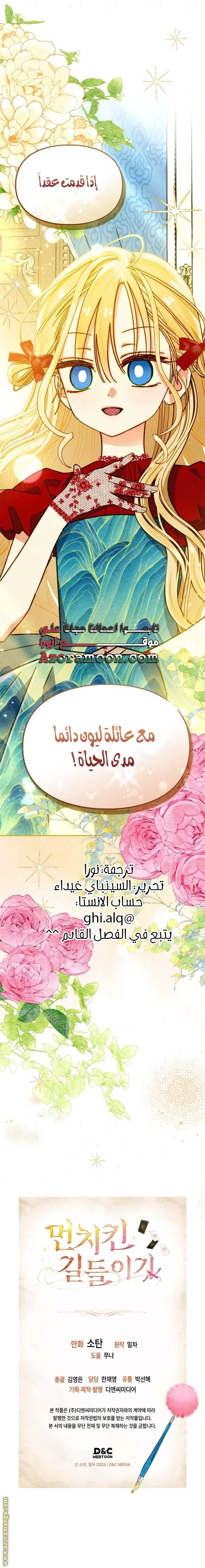 الصفحة 17