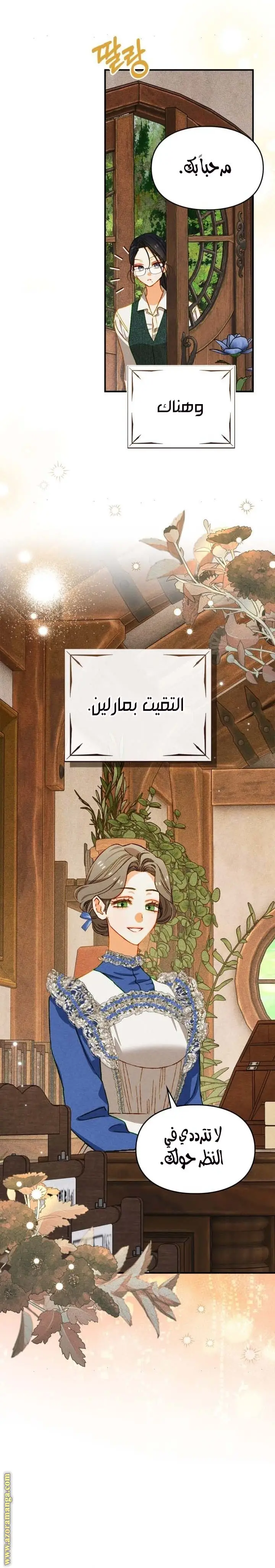 الصفحة 13