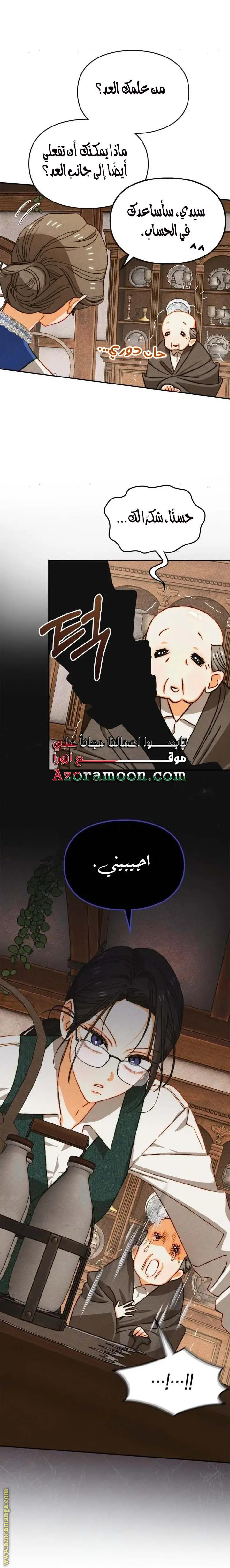 الصفحة 17