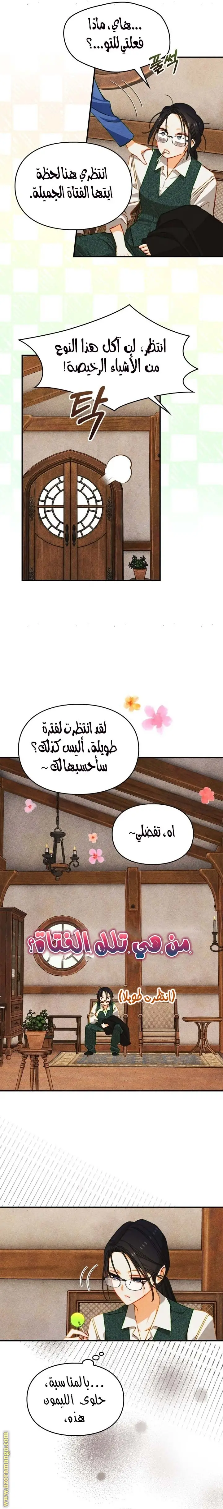 الصفحة 19