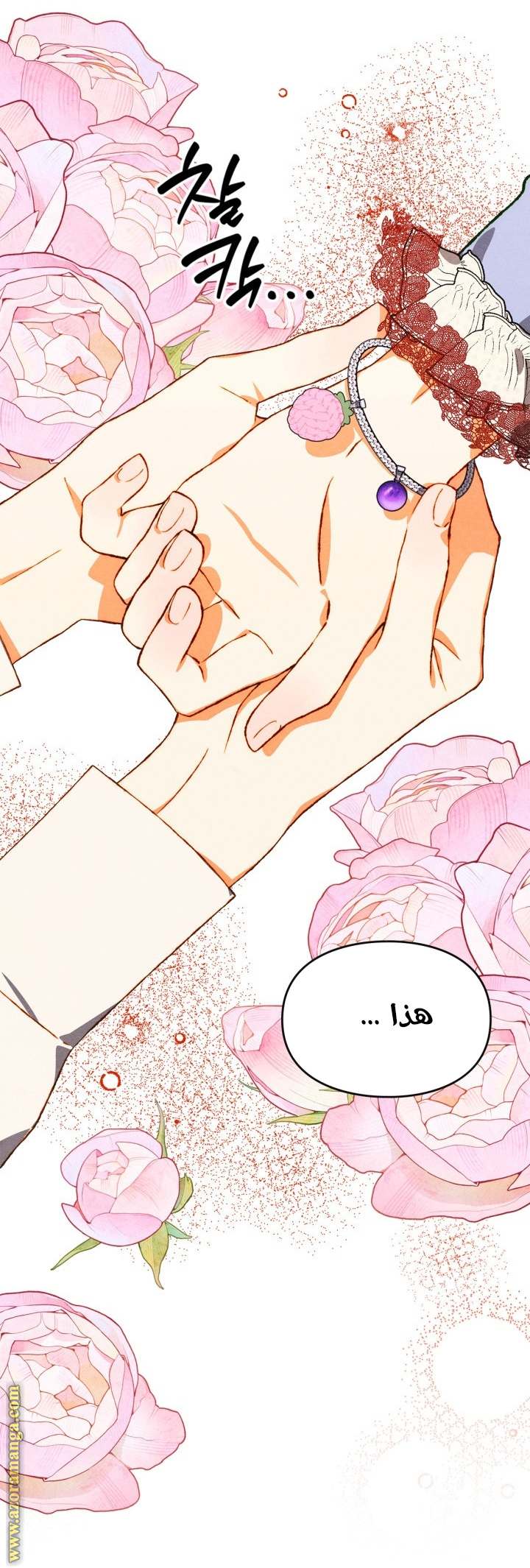 الصفحة 27