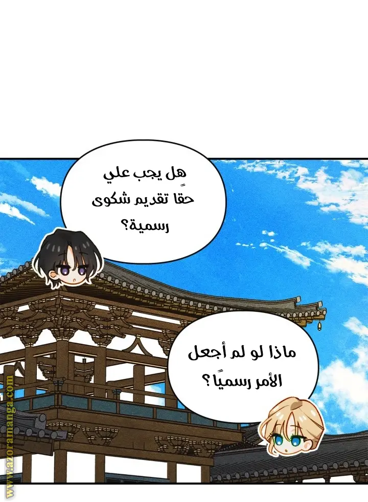 الصفحة 29