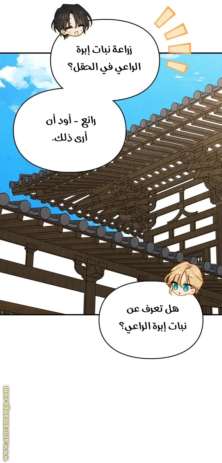 الصفحة 34