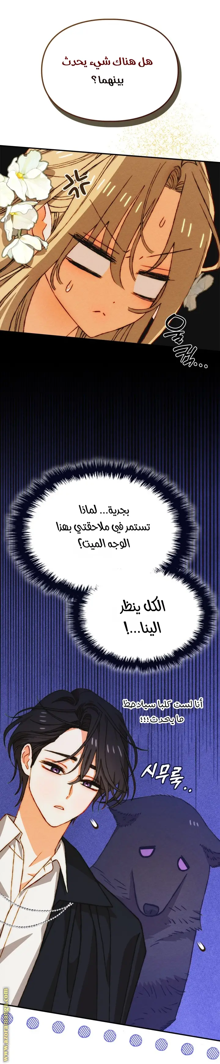 الصفحة 23
