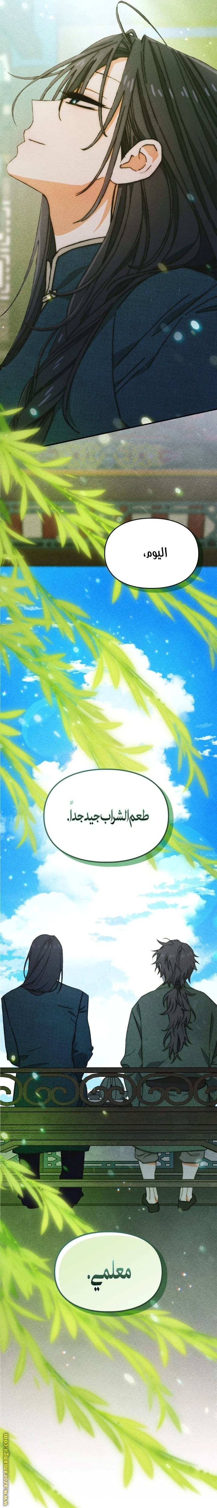 الصفحة 25