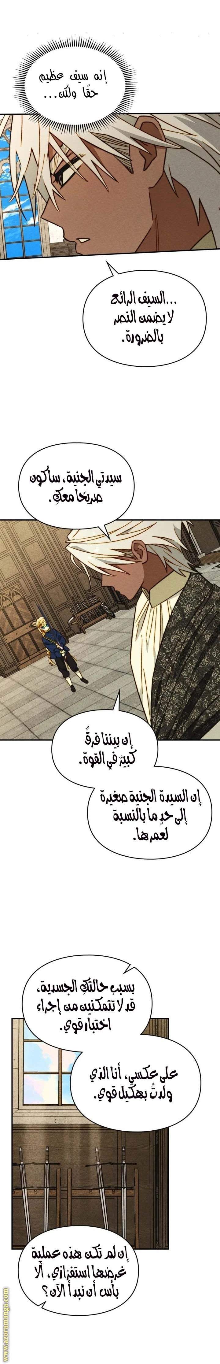 الصفحة 17