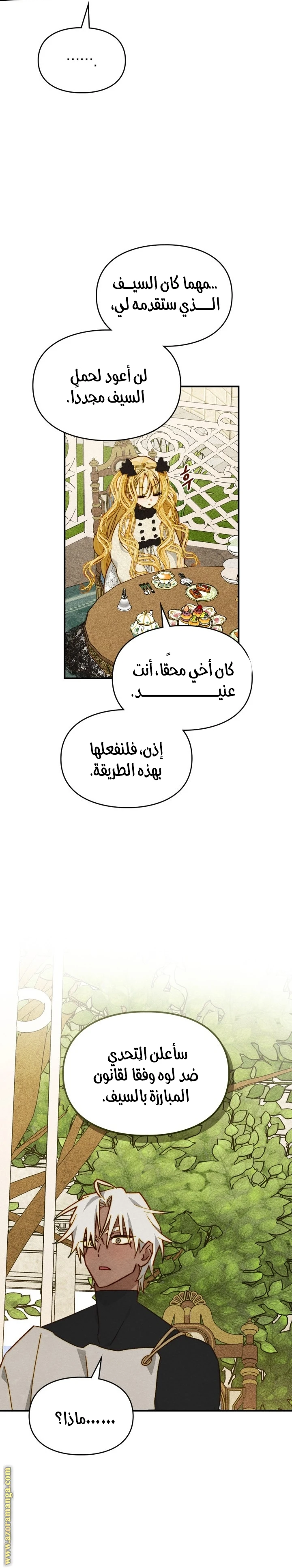 الصفحة 17