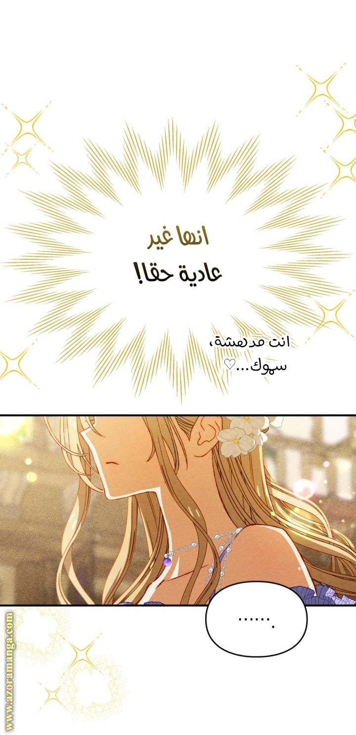 الصفحة 24