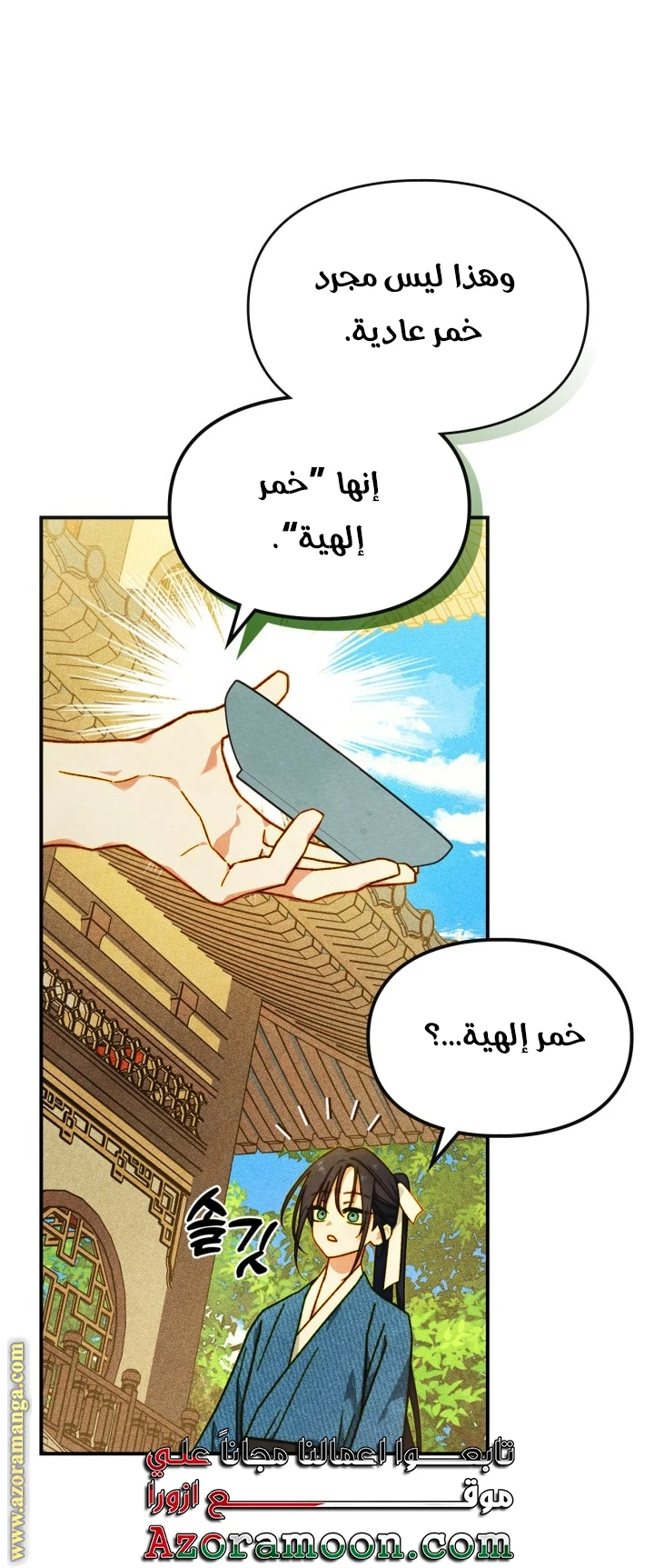 الصفحة 17