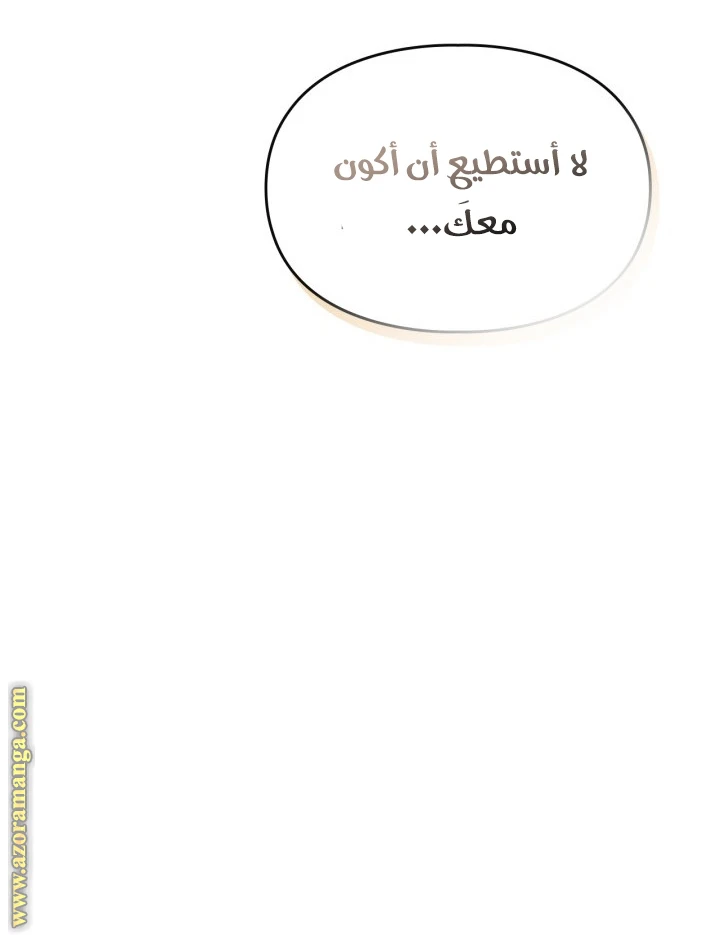 الصفحة 41