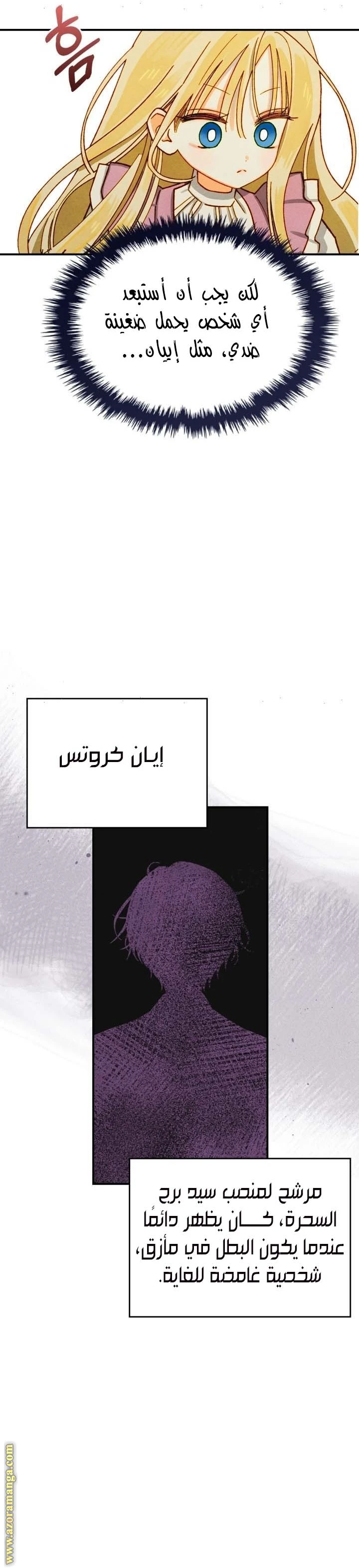 الصفحة 17