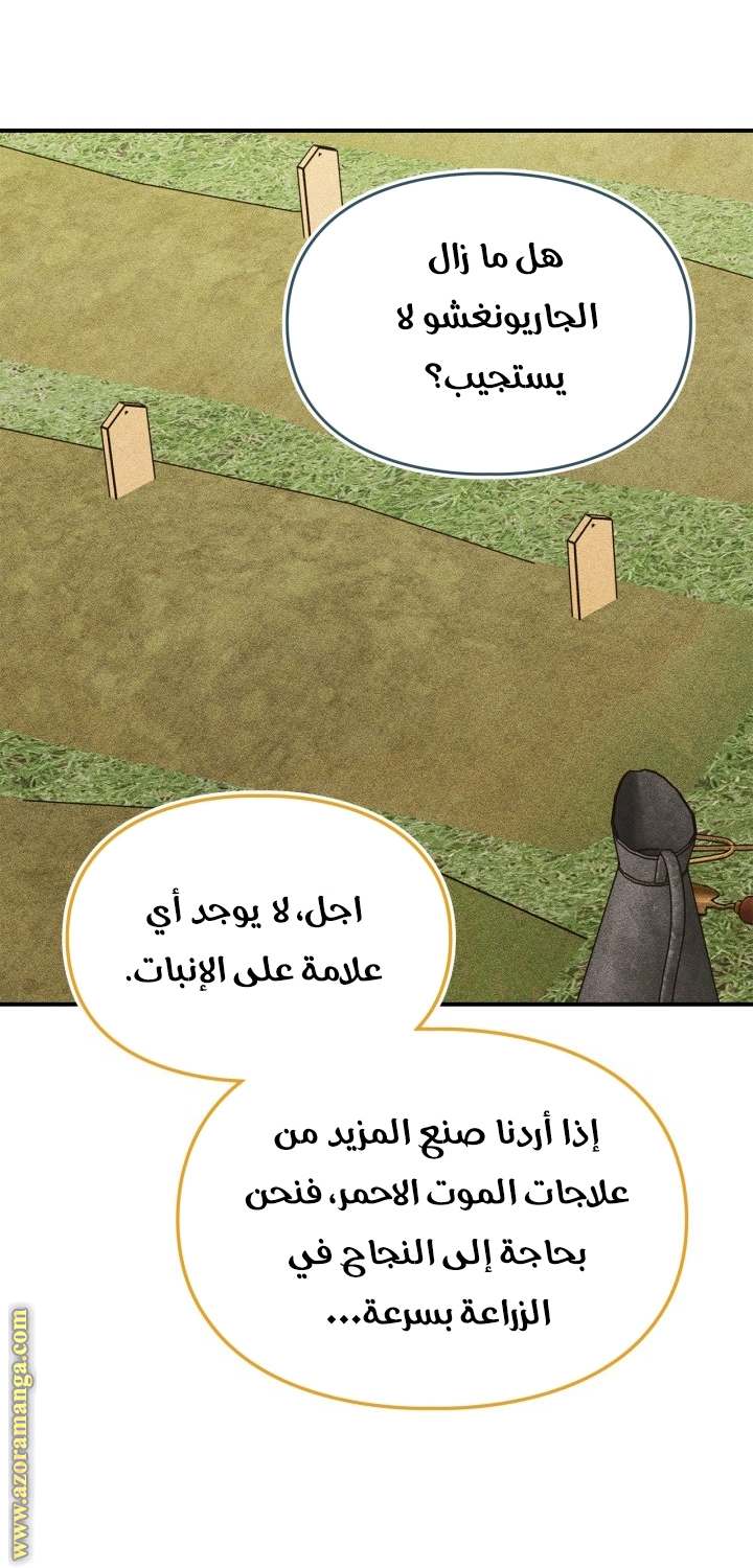 الصفحة 41
