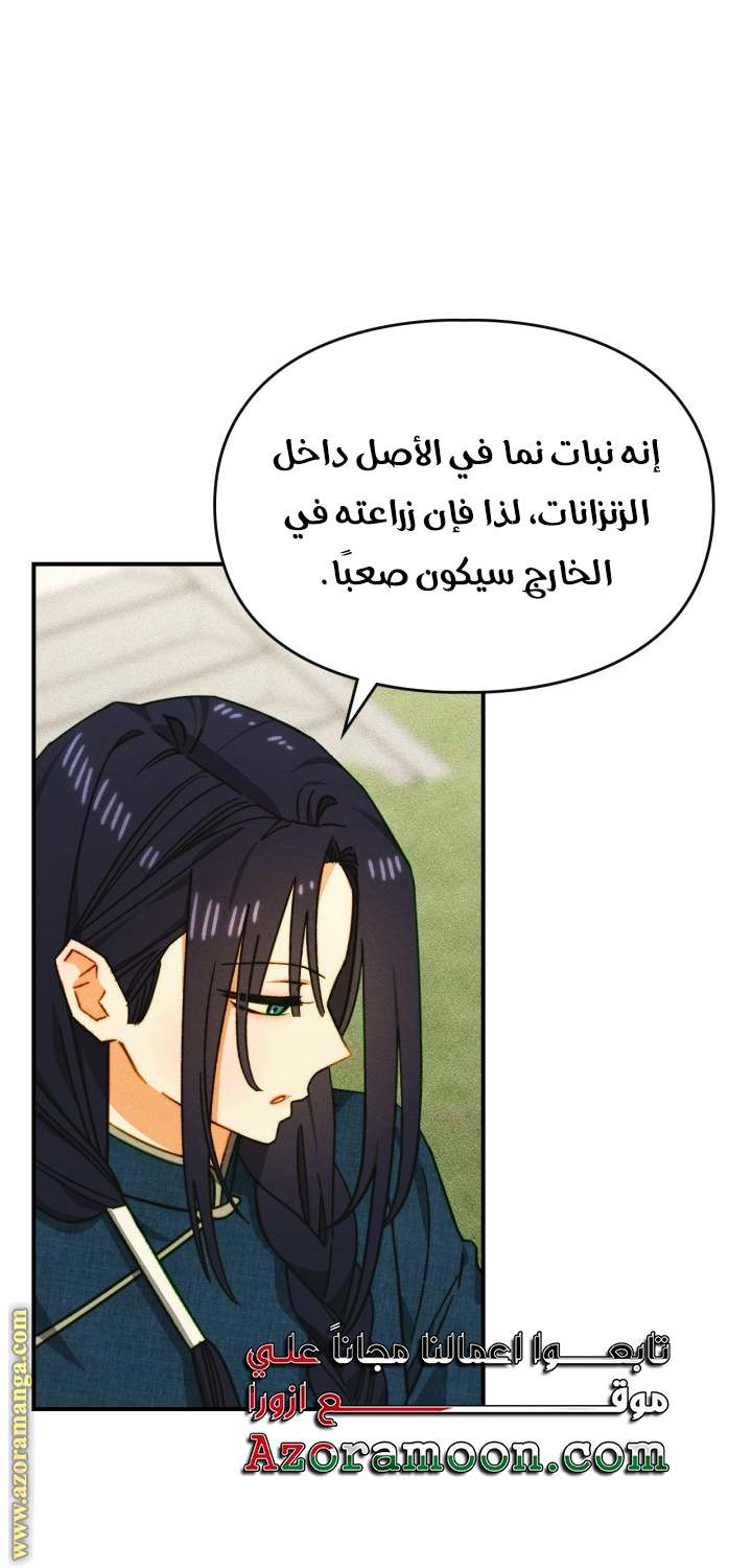 الصفحة 42