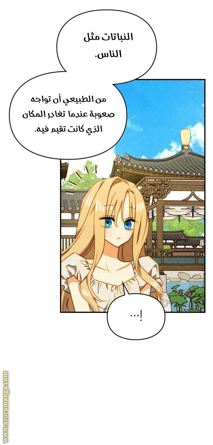الصفحة 43