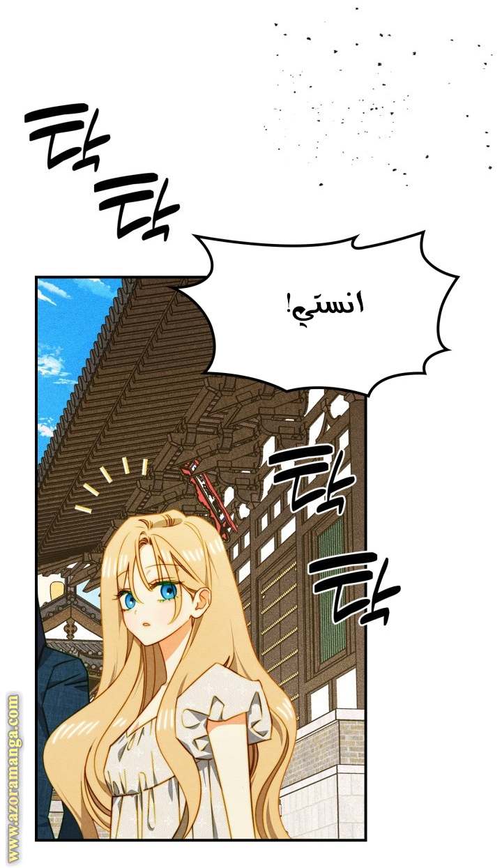 الصفحة 47