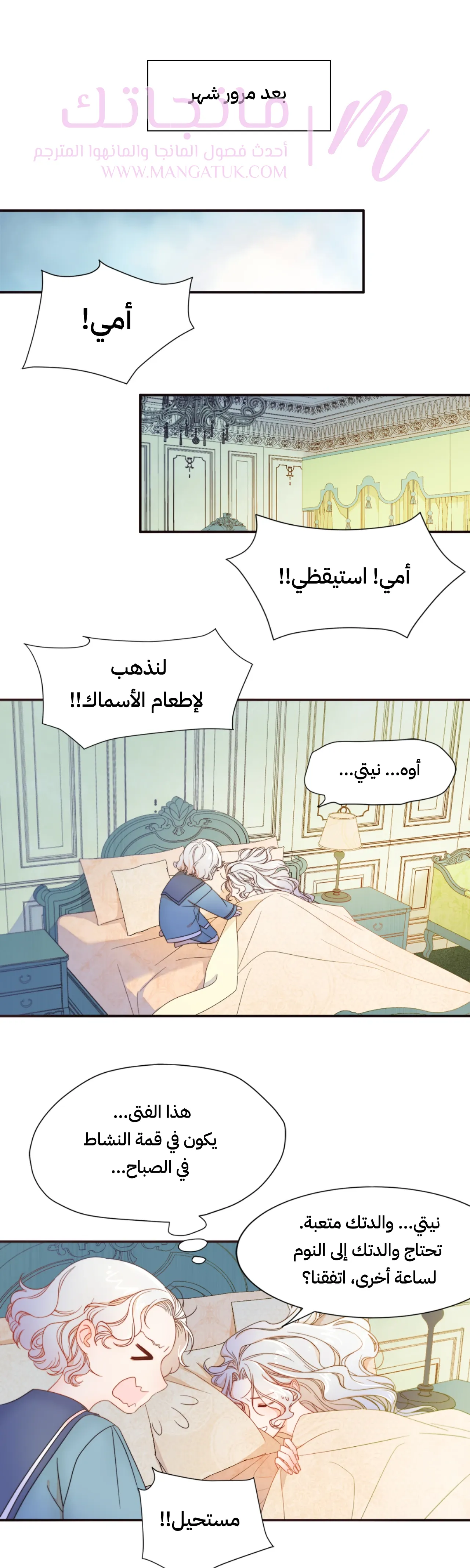 الصفحة 11