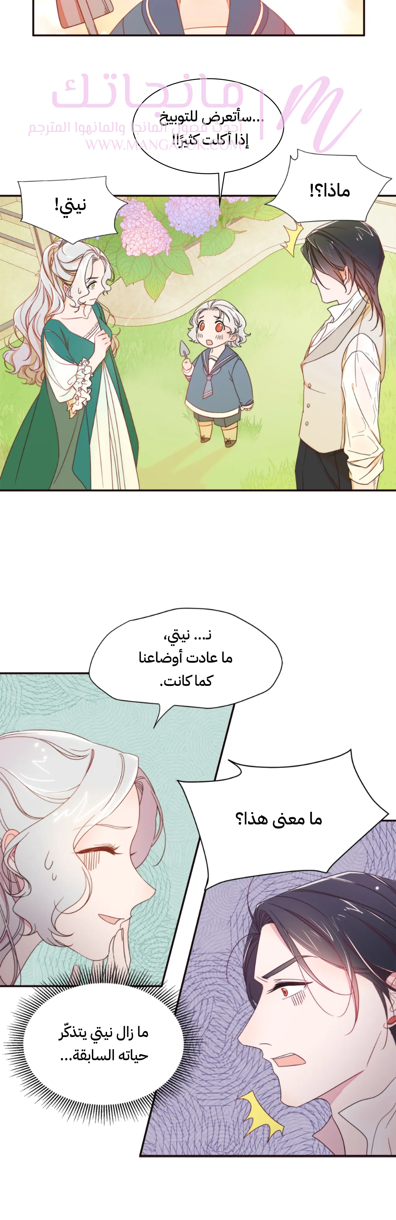 الصفحة 26