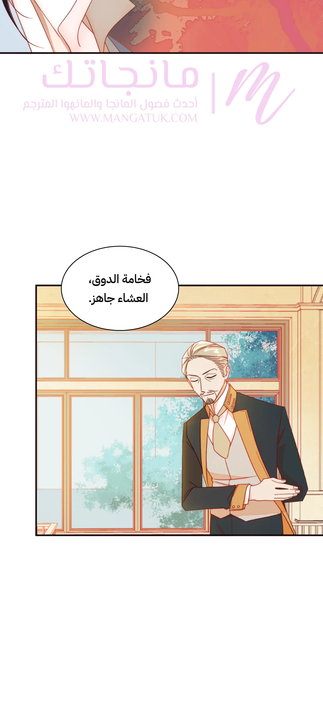 الصفحة 17
