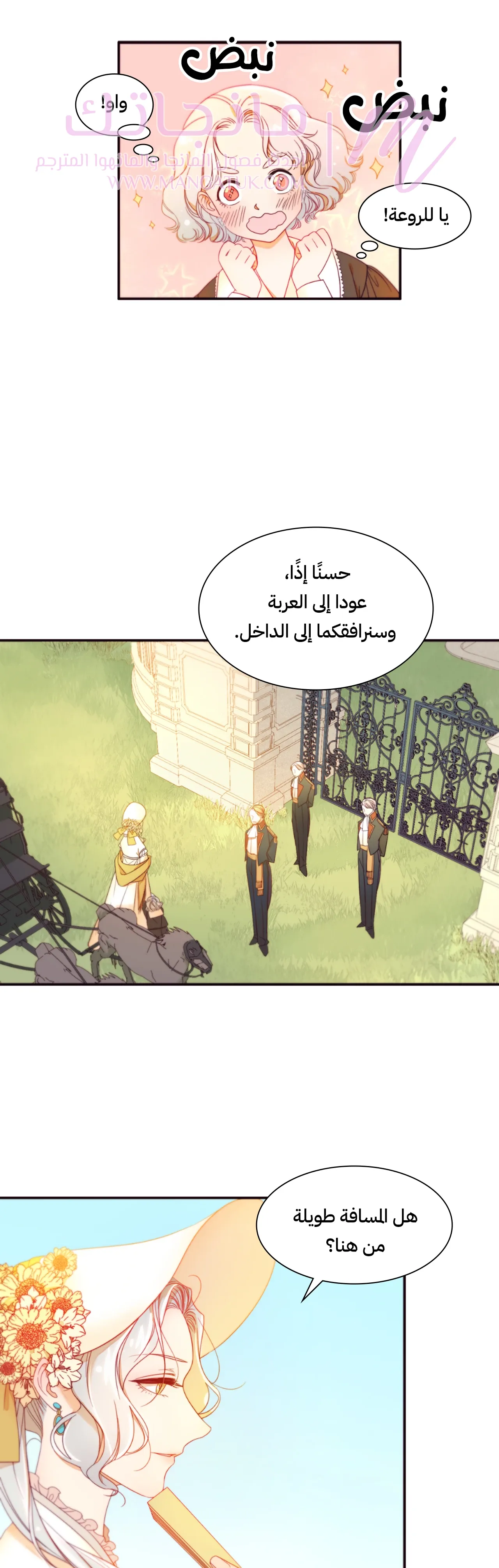 الصفحة 17