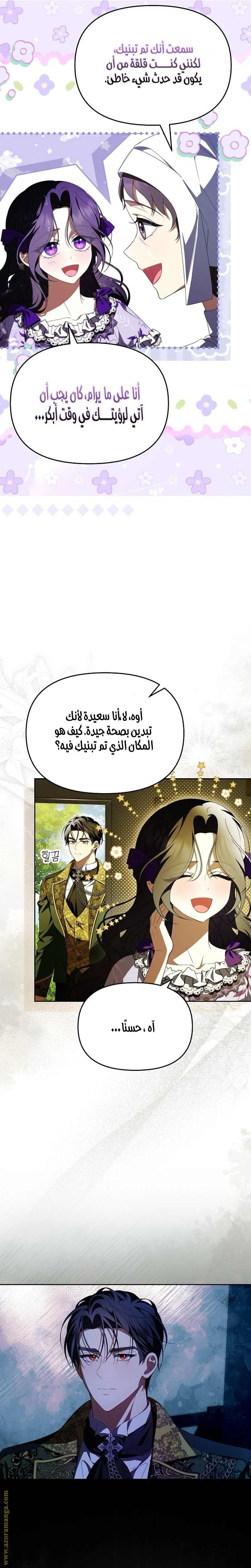 الصفحة 17