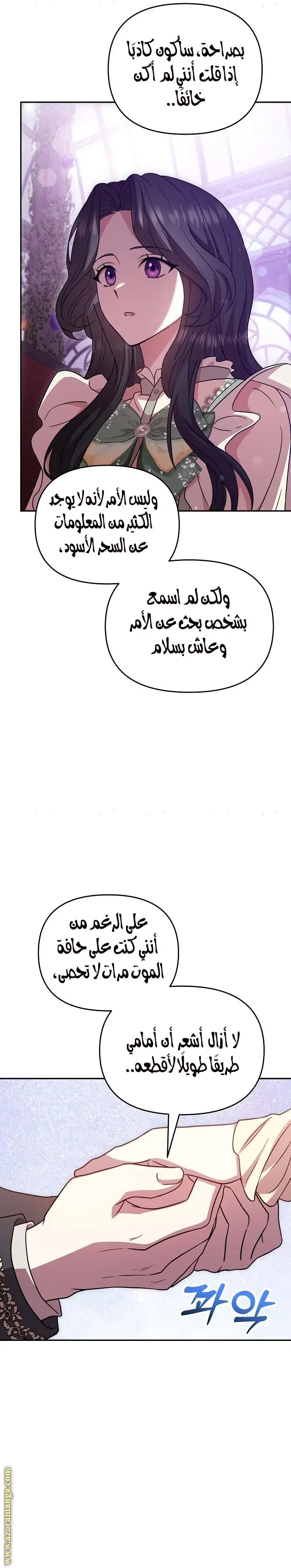 الصفحة 26