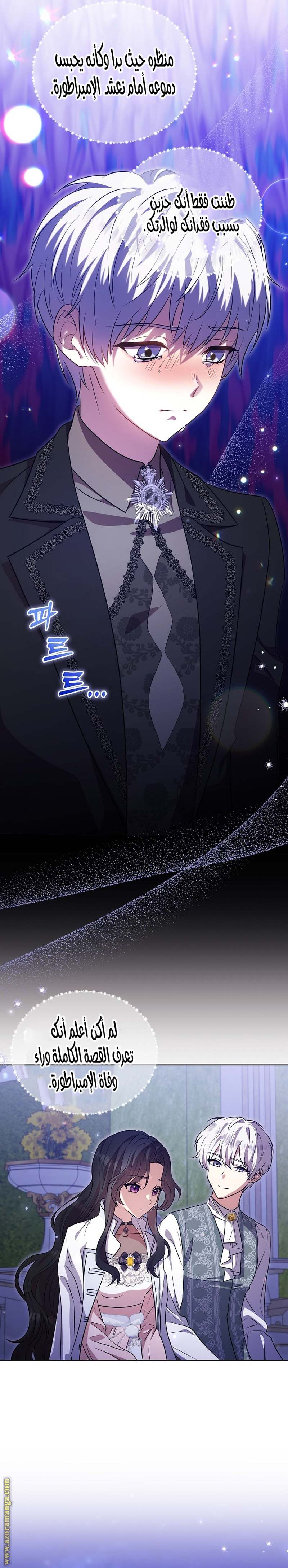 الصفحة 26