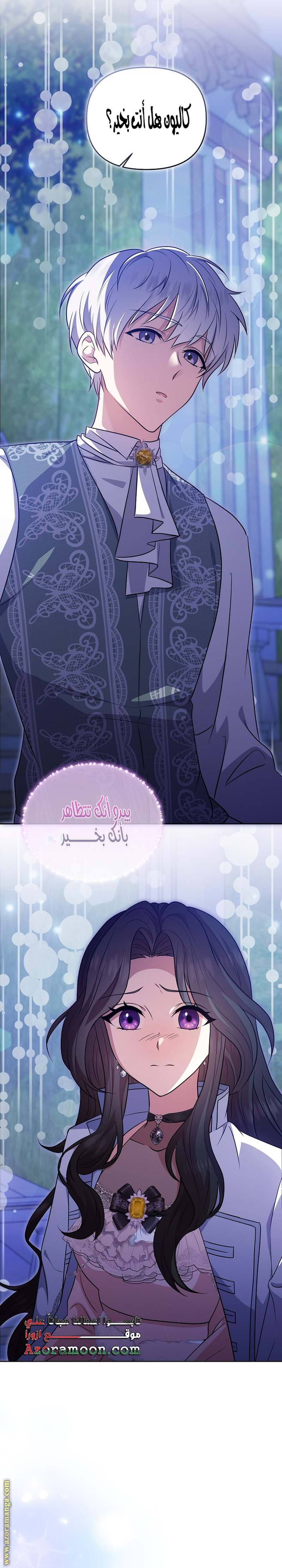 الصفحة 28