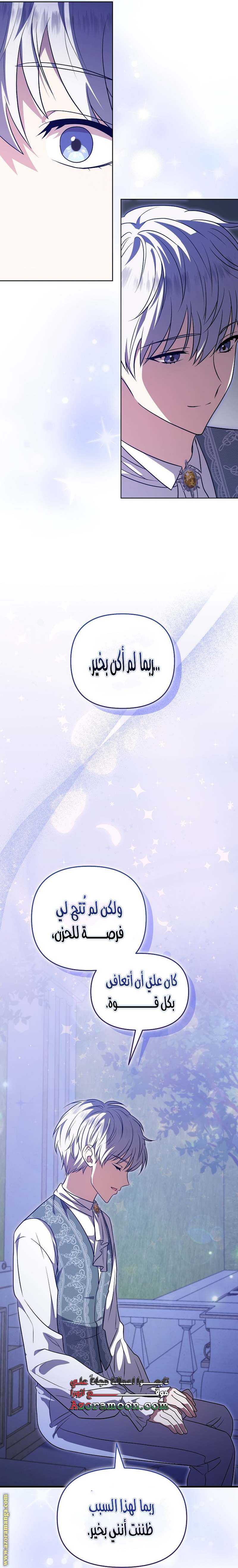الصفحة 29