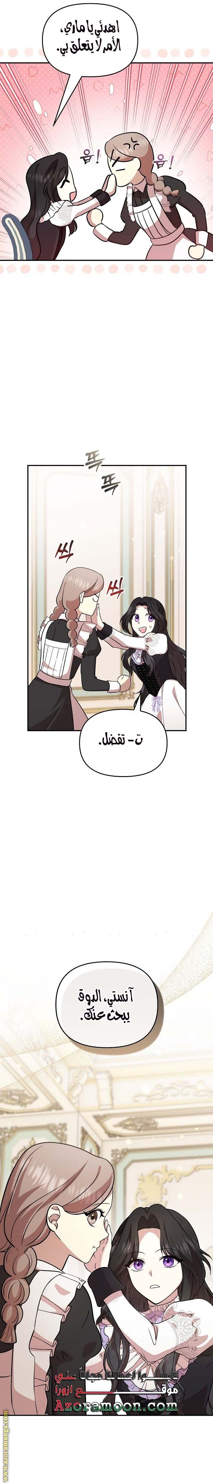 الصفحة 17