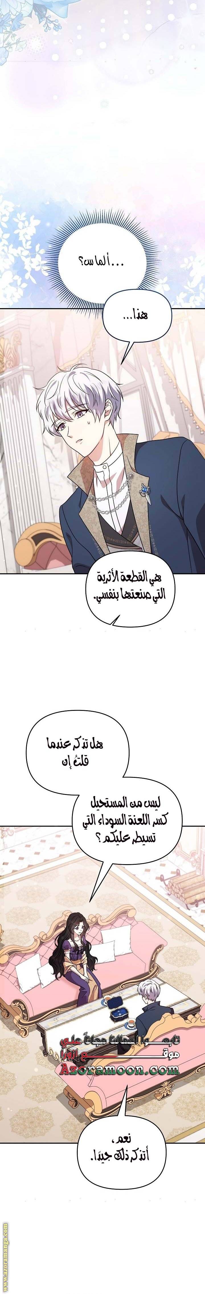 الصفحة 17