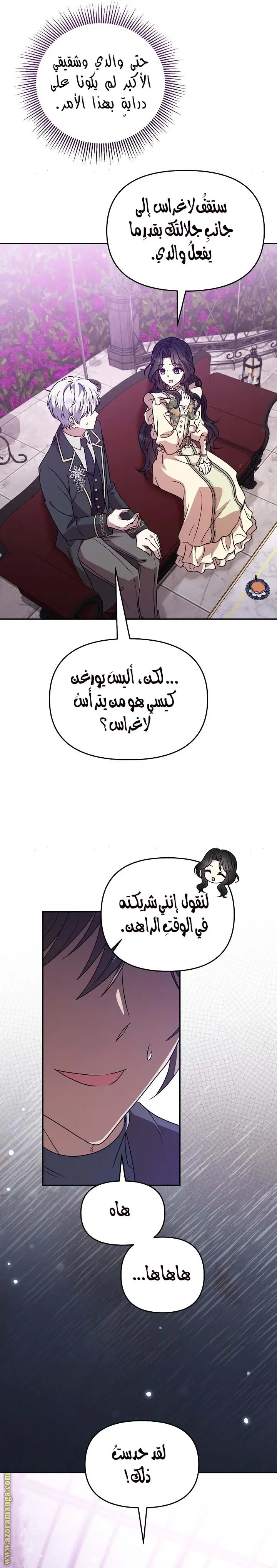الصفحة 17