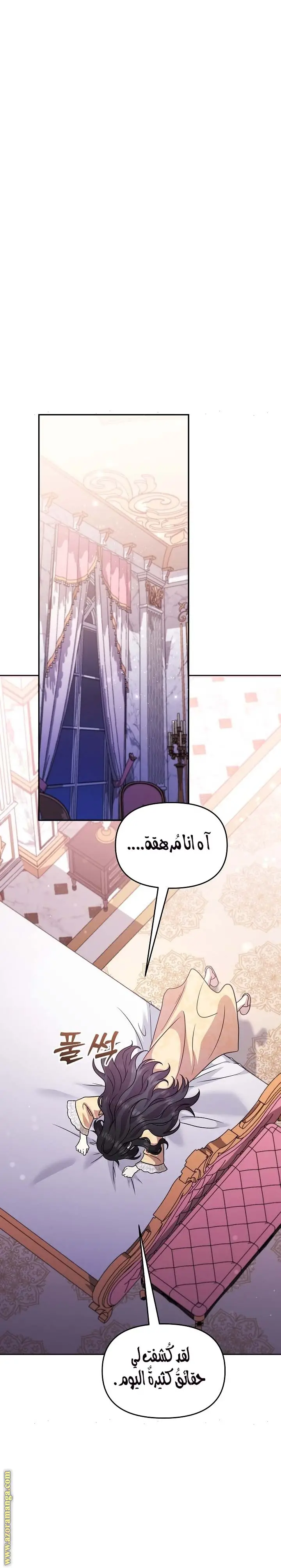 الصفحة 20