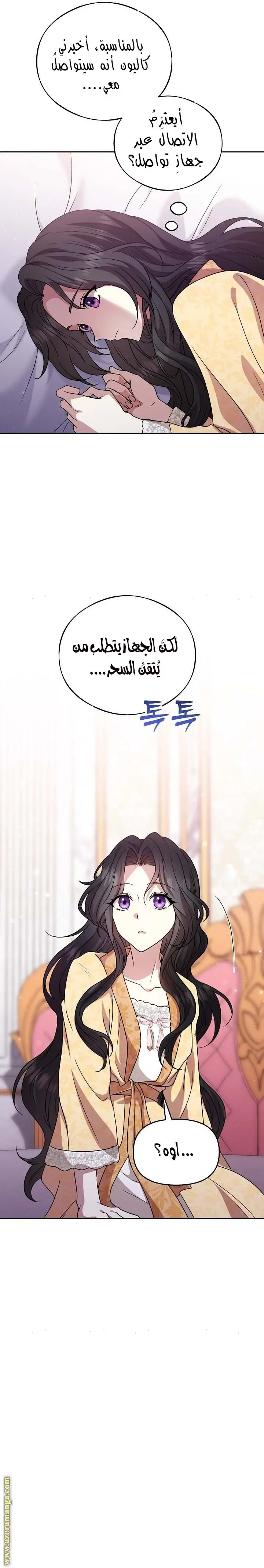 الصفحة 21