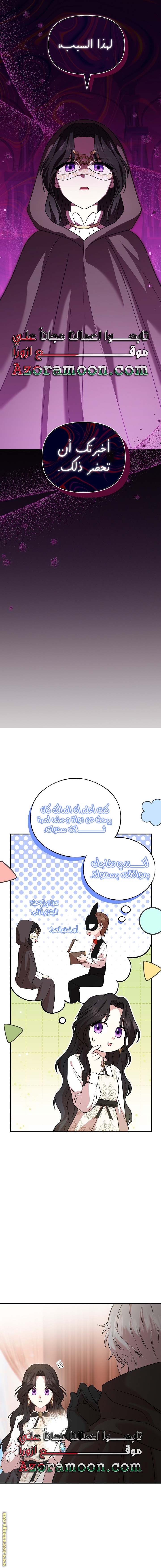 الصفحة 13