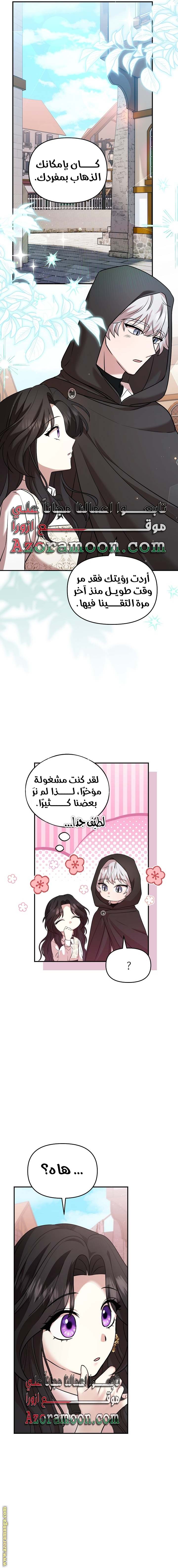 الصفحة 17