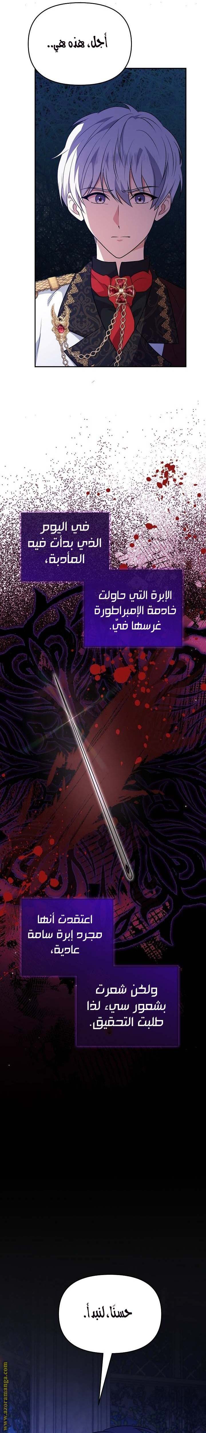 الصفحة 17