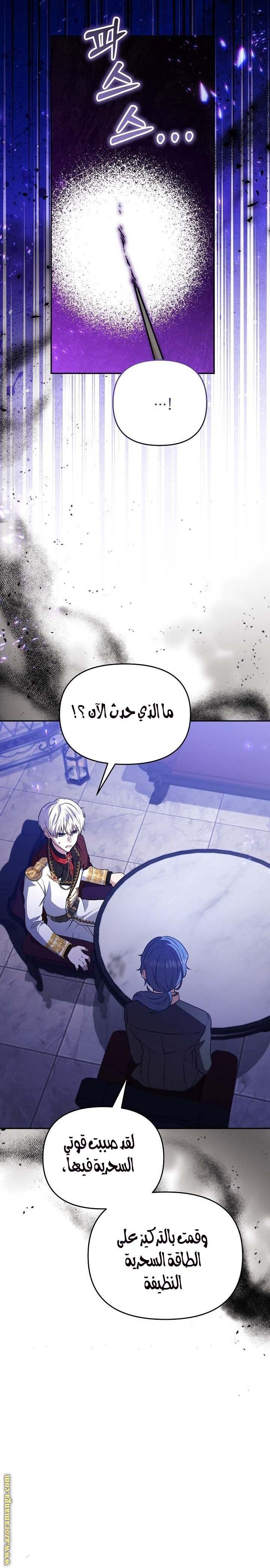 الصفحة 19
