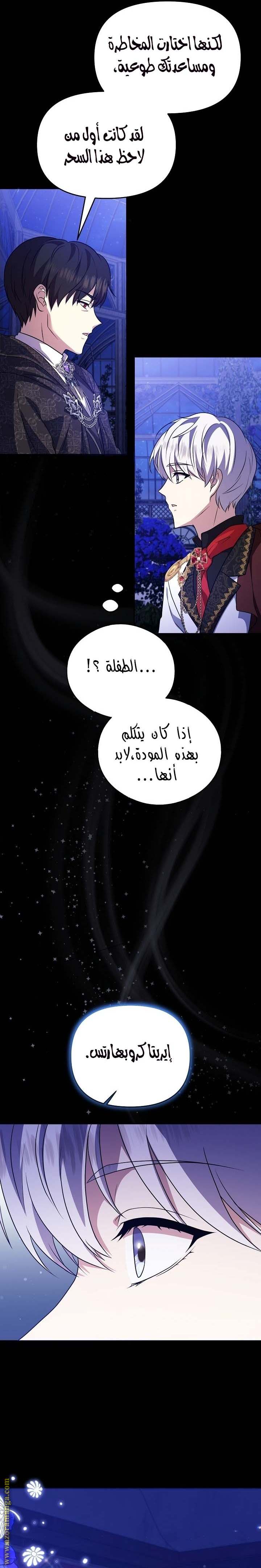 الصفحة 26
