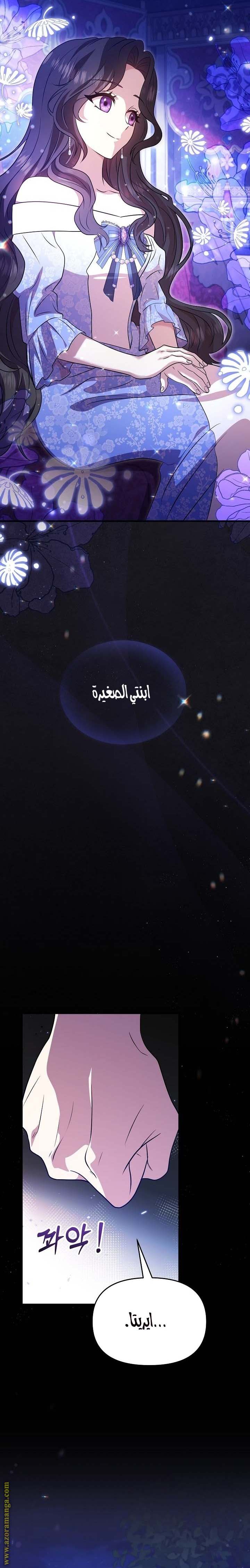 الصفحة 27